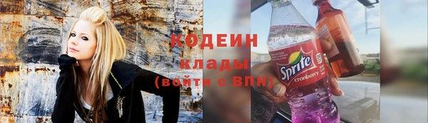 прущие грибы Пересвет