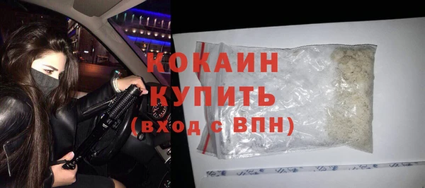 стафф Вязьма