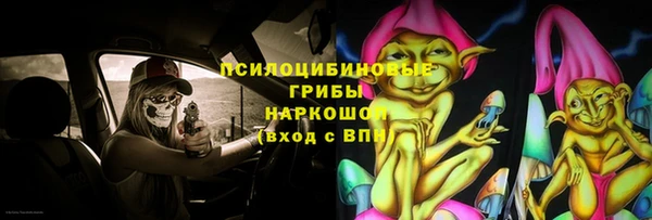 прущие грибы Пересвет