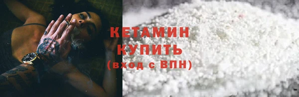 прущие грибы Пересвет