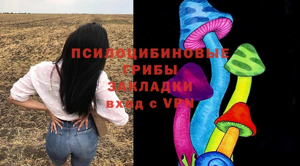 прущая мука Бикин