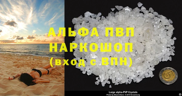 сатива Беслан