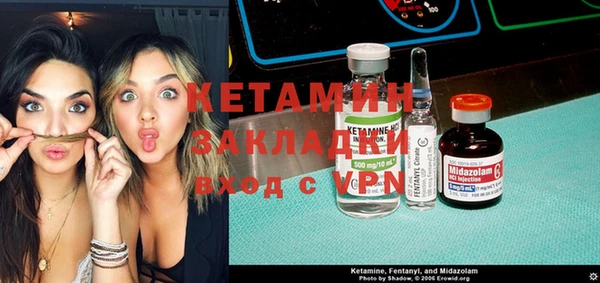 прущие грибы Пересвет