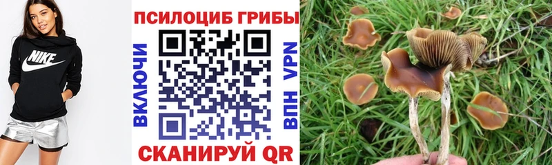 omg зеркало  сколько стоит  дарк нет телеграм  Галлюциногенные грибы мухоморы  Боготол 